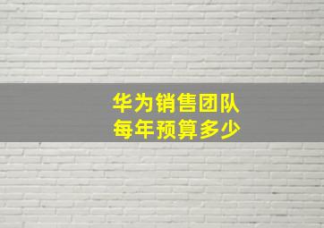 华为销售团队 每年预算多少